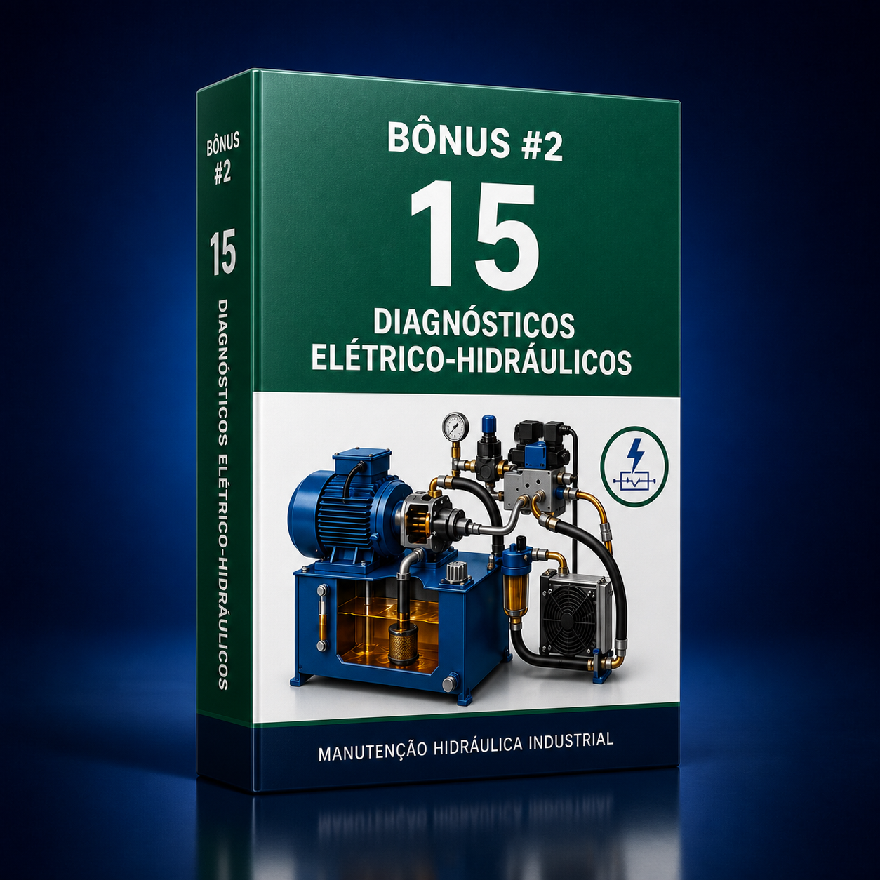 Bônus 2 — 15 Diagnósticos Elétrico-Hidráulicos