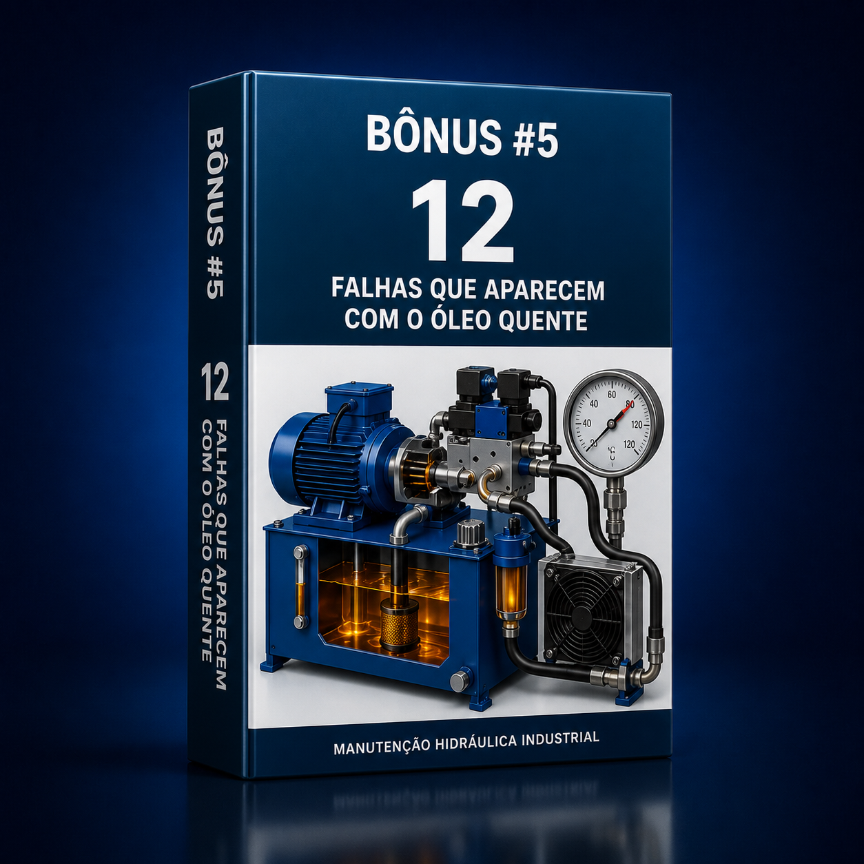 Bônus 5 — 12 Falhas que Aparecem com o Óleo Quente
